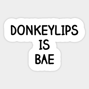 Donkeylips Is Bae Shirt (Font #2) - Salute Your Shorts, The Splat, Nickelodeon Sticker